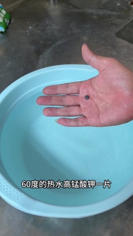 清潔-鞋子發黃