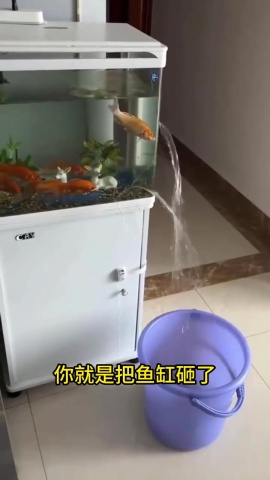 水族-水質控制技巧