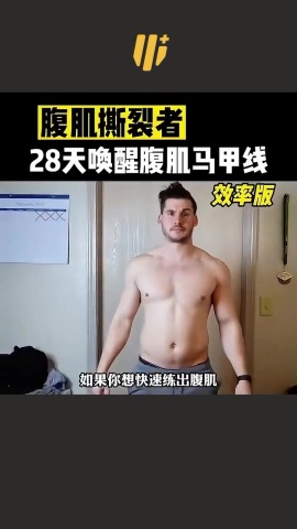 體雕-馬甲線